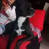 user6131215838240 - @candygallegos75 - TikTok