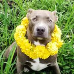 Candy&Gray - @_candy_gray - Instagram