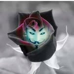 Candy Gummow - @candygummow - Instagram