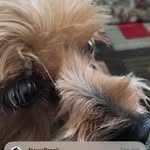 Candy Hamilton - @candyhamilton667 - Instagram