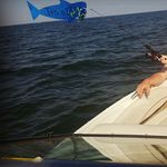 Candy Harris - @harris_candy - Instagram