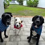 Candyce Hatch - @beerdawgz - Instagram