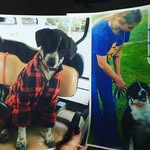 Sassy Girl Doggie Daycare - @candyhatcherdill - Instagram