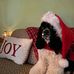 Candy Hayes Keller  - Facebook