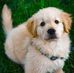 Candace Helms - Facebook