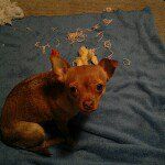 candy helms - @stinkychi - Instagram