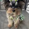 Candy Hernandez - @candyhernandez1336 - TikTok