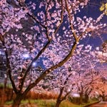 Candy Hung - @candy.hung.77985 - Instagram