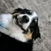 Candy_and_Jordan - @candy_and_jordan - TikTok