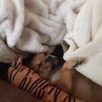 Candy Kennedy - @kennedycandy - Instagram