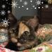 Candy Logan - Facebook