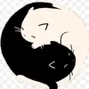 💕Candy y Logan💕 - @candy..y..logan - TikTok