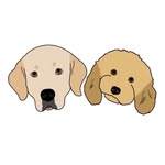 Logan e Candy - @logan_e_candy_ - Instagram