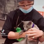 しょうた - @candy_adamas_loyalty420 - Instagram