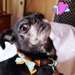 Candy Lucas - @candyelucas1971 - Instagram