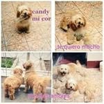 candy _ lujan - @lujancandy_ - Instagram