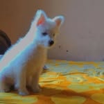 luna - @_candy_luna - Instagram