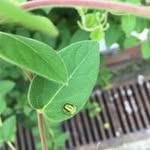 Candy Lung - @sinyilung - Instagram