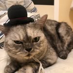 Candy Lung - @candy.lung.56 - Instagram