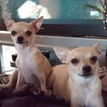 Candy Lynne Kirkham-wilson - @kirkhamwilson - Instagram