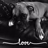 Candy Lyons - @candylyons0 - TikTok