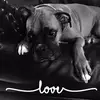 Candy Lyons - @candylyons0 - TikTok