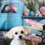 Candy Mac Laverty - @candymac7363 - Instagram