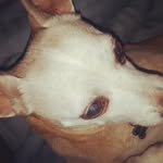 Macklins - @macklinscandy - Instagram