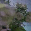 Candy Madden - @candy.madden3 - TikTok