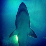 Candy Maher - @candy_j_41086 - Instagram