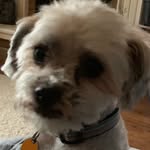 Candy Malone - @candyresurrrection77 - Instagram
