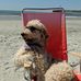 Candy Mansfield - Facebook