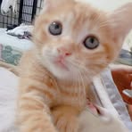 Candy Mao - Facebook