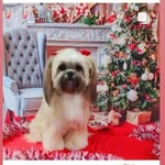 Candy Maria - @candy_maria04 - Instagram