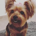 Candy Maria Corrêa Chisholm - @candymariachisholm - Instagram