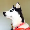 candymaria - @candymaria - TikTok