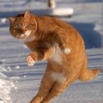 candy marshall - @kipkemboi799 - Instagram