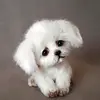 candy - @candymaya4 - TikTok