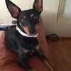 candymaynard2 - @candymaynard2 - TikTok
