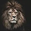 candymayne2 - @its.candy.mayne.8 - TikTok
