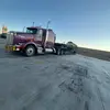 candy.mayne - @candy.mayne - TikTok