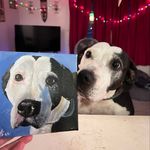 Candy Cane McCarthy - @candycanemccarthy - Instagram