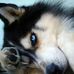 Candy McClure - Facebook