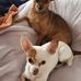 Candy Mccoy - Facebook