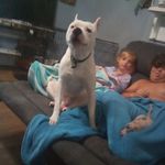 Candy Mcfadden - @mcfadden.candy - Instagram