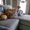 Candi Mcgraw - @candimcgraw - TikTok