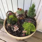 Candy McIntyre - @candy.mcintyre.5496 - Instagram