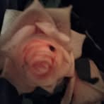Candy Mcnabb - Facebook