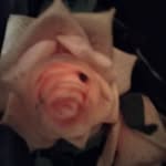 Candy Mcnabb - @mcnabb_candy - Instagram