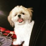 Candy McQueen - @misscandymcqueen - Instagram
